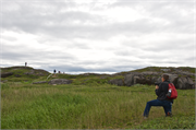 0042_49-RedBayLabrador