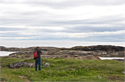 0043_52-RedBayLabrador