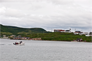 0248_37-RedBayLabrador