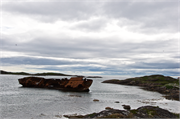0249_48-RedBayLabrador