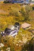 0253_a31-QaqortoqGreenland