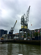 0519_c65-Rotterdam
