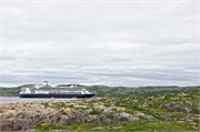 0705_51-RedBayLabrador
