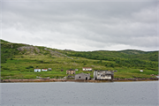 15-RedBayLabrador