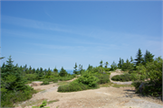 19-BarHarbor2016