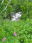 28-CornerBrook2016