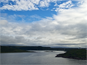 10-RedBayLabrador