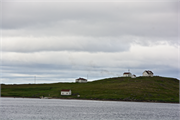 13-RedBayLabrador