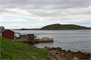 14-RedBayLabrador