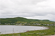 21-RedBayLabrador