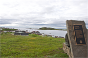 28-RedBayLabrador
