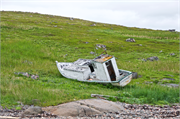 36-RedBayLabrador