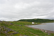 39-RedBayLabrador