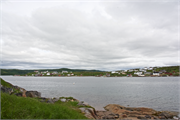 46-RedBayLabrador