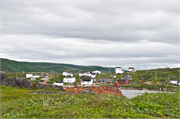 53-RedBayLabrador
