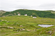 56-RedBayLabrador