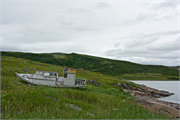 59-RedBayLabrador