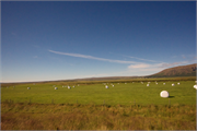 28-Iceland