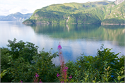 17-Fjords-Lakes-Streams