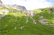 29-Fjords-Lakes-Streams