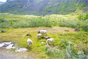 44-Scenic-Norway