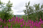 26-Voringsfossen