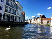 82-Bruges