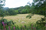 19-IsleOfMan