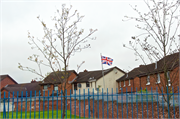 a-Belfast-63