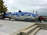 b-Belfast-45