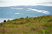 01051_29-Vigur_Island
