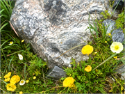 01063_053-Nanortalik