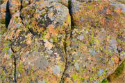 0888_29-BarHarbor2016