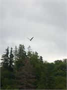 0893_42-11-BRASdOr