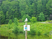 0901_32-CornerBrook2016