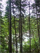 0902_35-CornerBrook2016
