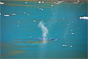 0945_33a-PrinceChristianSund