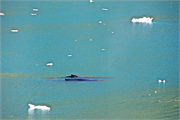 0946_34a-PrinceChristianSund