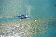 0948_36a-PrinceChristianSund