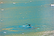 0949_37a-PrinceChristianSund