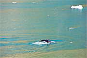 0950_38a-PrinceChristianSund