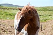 0954_23-Iceland
