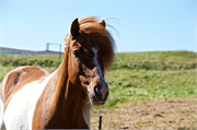 0955_24-Iceland