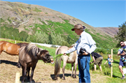 0956_25-Iceland