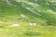 0963_46-Scenic-Norway
