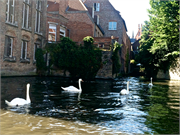 0972_80-Bruges
