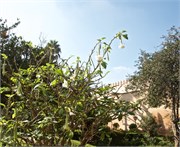039-RabatMorocco