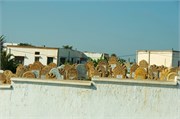 042-RabatMorocco
