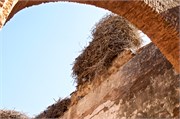 089-RabatMorocco