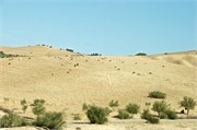 005-Volubilis-Meknes-Fez